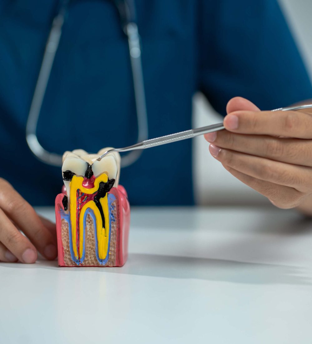 dentists-writes-reports-of-working-with-tooth-mode-2025-08-27-02-18-14-utc (1)